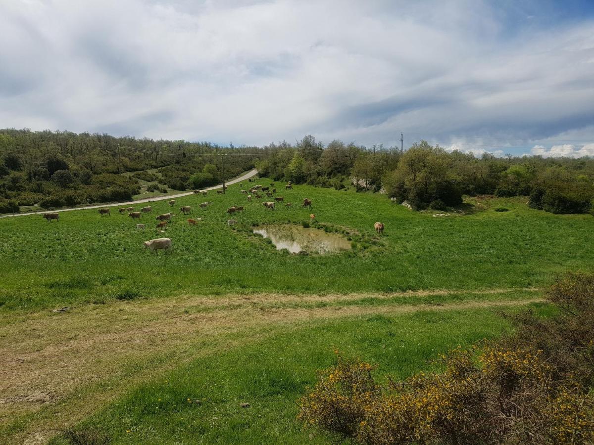 Santuari De La Salut De Sant Feliu De Pallerols Ngoại thất bức ảnh